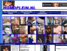 Tablet Screenshot of homoplein.nl